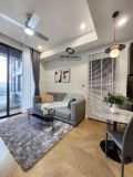  Căn hộ Lumiere Riverside cần cho thuê 