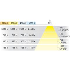 Đèn Led Dây Hafele 833.75.007 ảnh 3