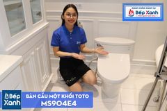Bàn Cầu Một Khối ToTo MS904E4 ảnh 3