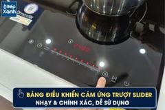 BẾP TỪ D’MESTIK TL922DKI ảnh 8