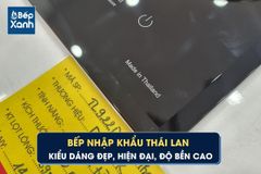 BẾP TỪ D’MESTIK TL922DKI ảnh 5