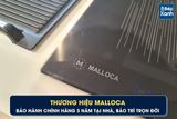 Bếp từ 4 vùng nấu Malloca MI 594 LINEAR / Nhập khẩu Tây Ban Nha, kính Schott Ceran
