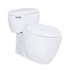  Bàn Cầu Một Khối ToTo MS366T7 