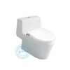  Bồn cầu nắp rửa cơ Inax AC-1035+CW-S15VN 