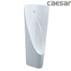  Bồn tiểu nam đặt sàn Caesar U0237 