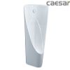  Bồn tiểu nam đặt sàn Caesar UA0237 