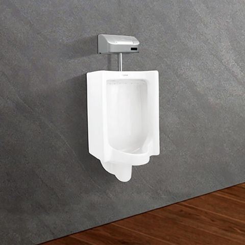 Bồn tiểu Viglacera TT5
