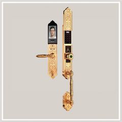 Khóa đại sảnh Demax SL938 Gold - APP WIFI - Mạ vàng 24K