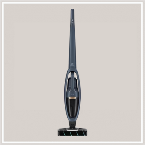 Máy hút bụi không dây Electrolux WQ61-1EDBF