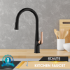  Vòi rửa chén nóng lạnh dây rút Pull-out Ecalite EF-K569BR 