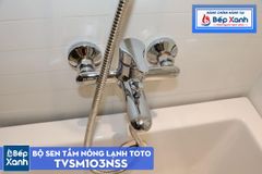 Bộ Sen Tắm ToTo TVSM103NSS ảnh 8
