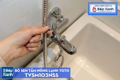 Bộ Sen Tắm ToTo TVSM103NSS ảnh 10