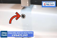 Chậu Rửa Bán Âm Bàn ToTo LW647CJWF ảnh 8