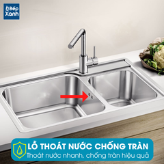 Chậu rửa chén Blanco – LEMIS XL 8-IF 570.27.189 ảnh 6