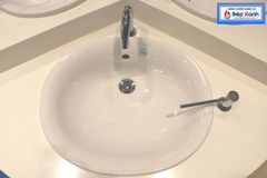 Chậu Rửa Dương Vành ToTo L762 ảnh 6