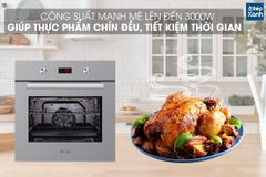Lò nướng âm tủ Malloca MOV-659 PGR ảnh 5