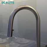 Vòi rửa chén nóng lạnh S-curve Ecalite EF-N288S