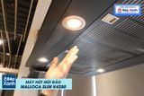 Máy hút mùi đảo Malloca SLIM K4250