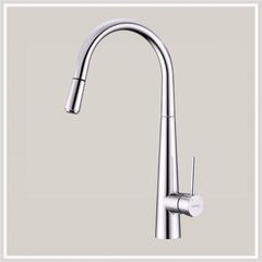 Vòi rửa chén Hafele HT21-CH1P245 / Dây Rút , Mã số 577.55.220
