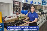 Bếp Gas Âm Eurosun EU-GA291D