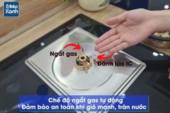 Bếp Gas Âm Eurosun EU-GA291D ảnh 9
