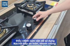 Bếp Gas Âm Eurosun EU-GA291D ảnh 10