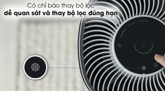 Máy lọc không khí Electrolux FA31-202GY ảnh 10