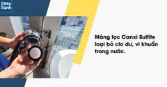 Vòi sen tắm khử clo Mitsubishi Cleansui ES301 ảnh 4