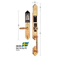 Khóa đại sảnh Demax SL938 Gold - APP WIFI - Mạ vàng 24K ảnh 2