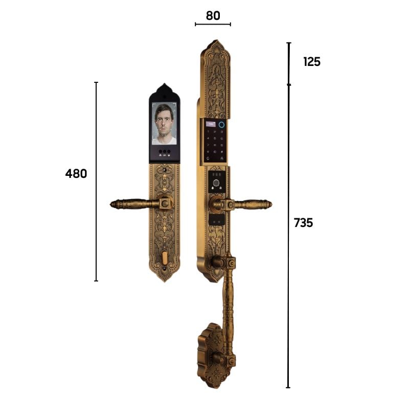 Khóa đại sảnh Demax SL986 GB - APP WIFI - Mạ đồng – ảnh 2