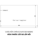 Chậu rửa chén 1 hộc lớn Vision Manual Sink Ecalite ESD-8250HS