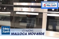 Lò nướng âm tủ Malloca MOV-65DE ảnh 9