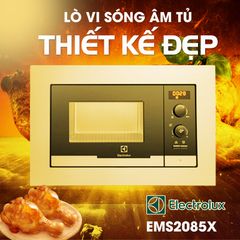 Lò Vi Sóng Âm Tủ Electrolux EMS2085X / Thiết Kế Đẹp / Dung Tích 20Lít ảnh 2