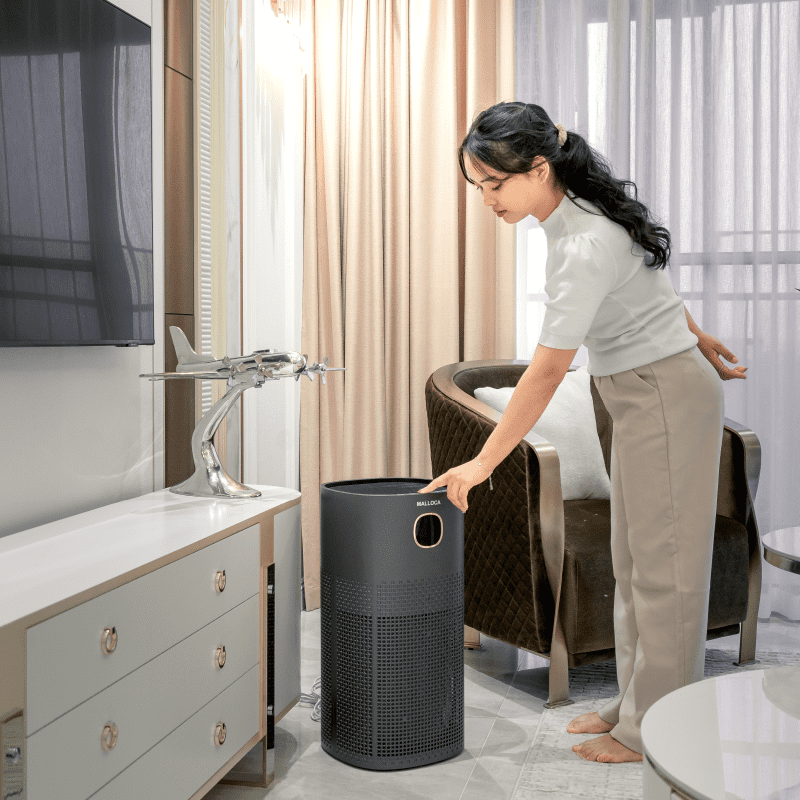 Máy lọc không khí Malloca MAP-08B - Máy lọc không khí Malloca MAP-08B dành cho ai? Máy lọc không khí Malloca MAP-08B - Máy lọc không khí Malloca MAP-08B dành cho ai?