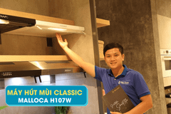 Máy hút mùi Cổ điển 70cm Malloca H107W (Màu trắng) ảnh 4