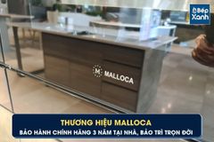Tủ bảo quản rượu Malloca MWC 24CP ảnh 10