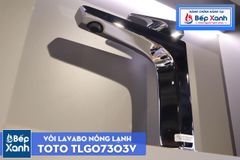 Vòi Chậu ToTo TLG07303V ảnh 8