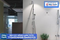 Sen Cây Nóng Lạnh ToTo TVSM104NSR/DM907CS ảnh 3