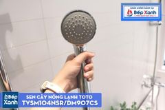 Sen Cây Nóng Lạnh ToTo TVSM104NSR/DM907CS ảnh 9