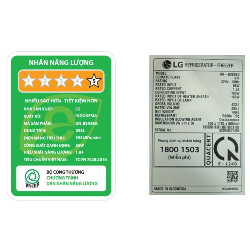 Tủ lạnh LG Inverter 395 lít GN-B392BG – ảnh 5