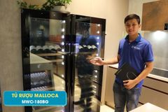 Tủ rượu đứng độc lập hoặc âm tủ Malloca MWC-180BG ảnh 7