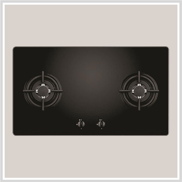  Bếp gas Faster FS 202GB 