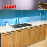 Chậu Rửa Chén Inox 304 Carysil VN-N200