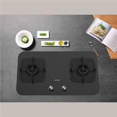 Bếp 2 gas Elica EL 206B