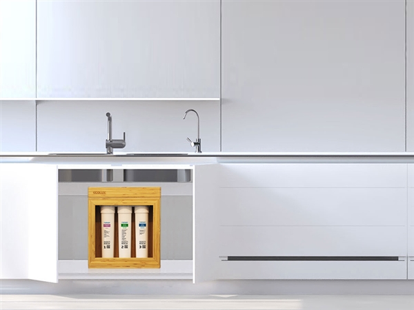 Máy Lọc Nước Dưới Chậu Rửa Nano Geyser Ecolux / Nhập Khẩu 100 % Liên Bang Nga – ảnh 4