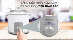 Nồi nấu chậm Panasonic 3 lít NF-N30ASRA ảnh 10