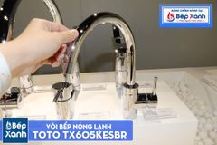 Vòi Bếp ToTo TX605KESBR ảnh 8