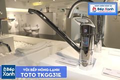 Vòi Bếp ToTo TKGG31E ảnh 4