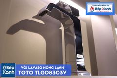 Vòi Chậu ToTo TLG08303V ảnh 4