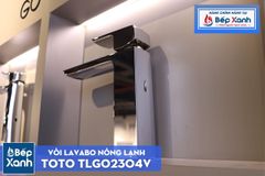 Vòi Chậu ToTo TLG02304V ảnh 4